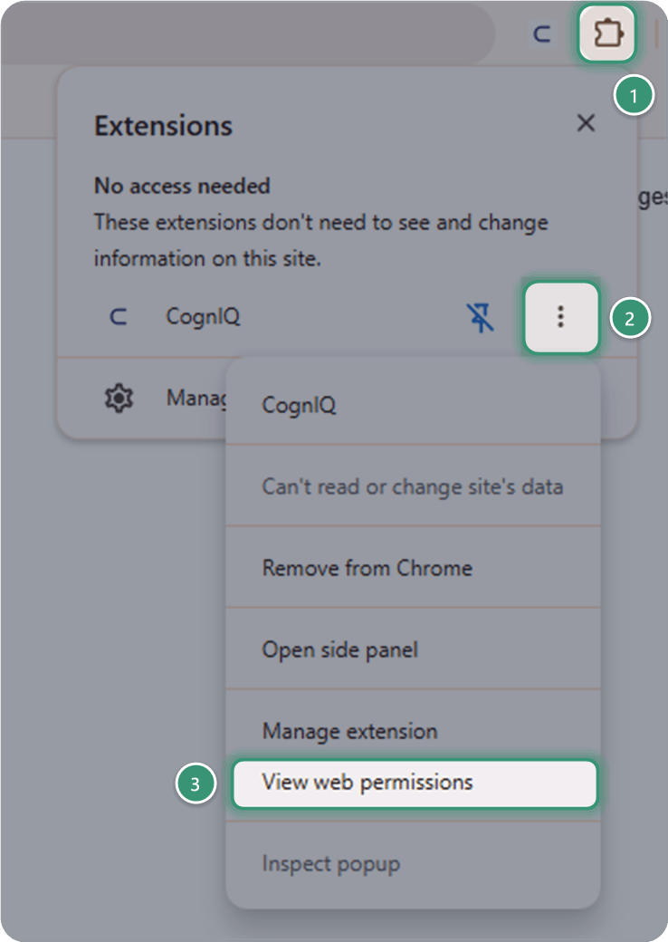 Chrome's Extensions menu with the ⋮ menu next to CognIQ open and View web permissions highlighted