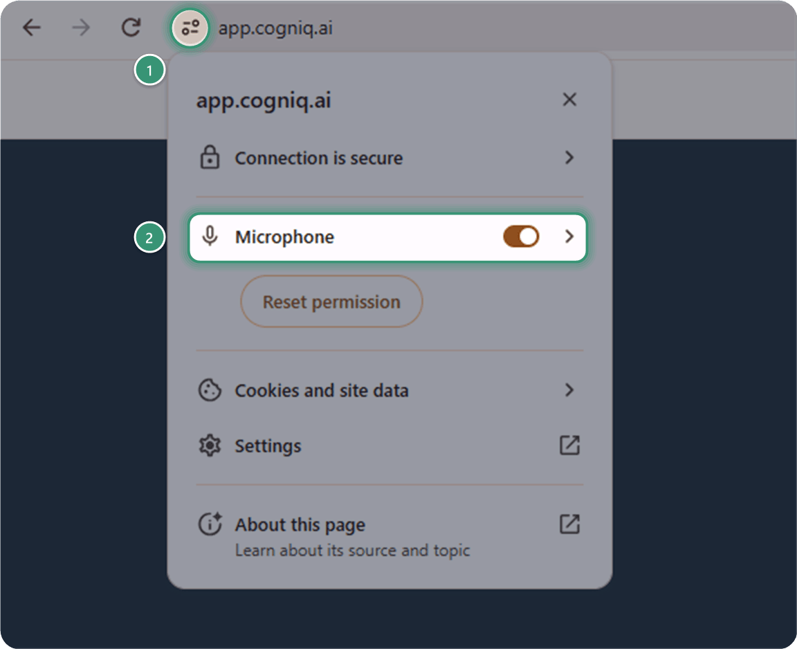 The site information popover opened from the icon left of app.cogniq.ai, with the Microphone toggle highlighted